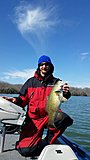 Click image for larger version.&nbsp;

Name:	20150328_104053_resized.jpg&nbsp;
Views:	282&nbsp;
Size:	41.2 KB&nbsp;
ID:	10493