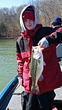 Click image for larger version.&nbsp;

Name:	20150329_094435_resized.jpg&nbsp;
Views:	279&nbsp;
Size:	62.1 KB&nbsp;
ID:	10499