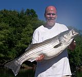 Click image for larger version.&nbsp;

Name:	chubminnow-striper.jpg&nbsp;
Views:	313&nbsp;
Size:	28.0 KB&nbsp;
ID:	1188