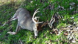 Click image for larger version.&nbsp;

Name:	DSC01161.jpg&nbsp;
Views:	716&nbsp;
Size:	108.8 KB&nbsp;
ID:	12035