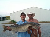 Click image for larger version.&nbsp;

Name:	WalleyeBen.jpg&nbsp;
Views:	1118&nbsp;
Size:	51.5 KB&nbsp;
ID:	13584