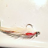 Click image for larger version.&nbsp;

Name:	IMG_0355.JPG&nbsp;
Views:	170&nbsp;
Size:	79.9 KB&nbsp;
ID:	13596