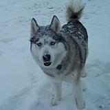Click image for larger version.&nbsp;

Name:	Snow4.jpg&nbsp;
Views:	234&nbsp;
Size:	40.4 KB&nbsp;
ID:	1408
