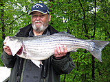 Click image for larger version.&nbsp;

Name:	IMG_5230.jpg&nbsp;
Views:	656&nbsp;
Size:	129.7 KB&nbsp;
ID:	14788