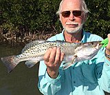 Click image for larger version.&nbsp;

Name:	May2017GilTrout.jpg&nbsp;
Views:	234&nbsp;
Size:	105.4 KB&nbsp;
ID:	14795