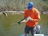 Click image for larger version.&nbsp;

Name:	FISH AND MORE 022.jpg&nbsp;
Views:	340&nbsp;
Size:	59.6 KB&nbsp;
ID:	1526