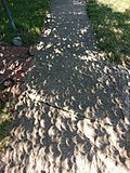 Click image for larger version.&nbsp;

Name:	20934737_10204032418086288_8053146556552957693_o.jpg&nbsp;
Views:	373&nbsp;
Size:	111.9 KB&nbsp;
ID:	15407