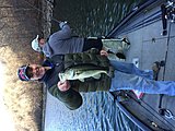 Click image for larger version.&nbsp;

Name:	IMG_1628-20171204-1144452.jpg&nbsp;
Views:	380&nbsp;
Size:	83.3 KB&nbsp;
ID:	15905