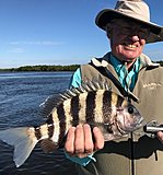 Click image for larger version.&nbsp;

Name:	December 2017 KenSheepshead.jpg&nbsp;
Views:	192&nbsp;
Size:	108.9 KB&nbsp;
ID:	15923