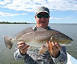 Click image for larger version.&nbsp;

Name:	January 2018 Mike Red.jpg&nbsp;
Views:	199&nbsp;
Size:	79.4 KB&nbsp;
ID:	16149
