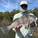 Click image for larger version.&nbsp;

Name:	February2018PedroDrum.jpg&nbsp;
Views:	209&nbsp;
Size:	187.7 KB&nbsp;
ID:	16292