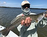 Click image for larger version.&nbsp;

Name:	February2018PedroTrout.jpg&nbsp;
Views:	205&nbsp;
Size:	135.6 KB&nbsp;
ID:	16294