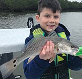 Click image for larger version.&nbsp;

Name:	February2018LucasRed.jpg&nbsp;
Views:	203&nbsp;
Size:	143.1 KB&nbsp;
ID:	16295