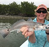 Click image for larger version.&nbsp;

Name:	February2018JodyRed.jpg&nbsp;
Views:	198&nbsp;
Size:	144.3 KB&nbsp;
ID:	16296