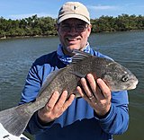 Click image for larger version.&nbsp;

Name:	February2018GregDrum.jpg&nbsp;
Views:	197&nbsp;
Size:	147.3 KB&nbsp;
ID:	16297