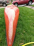 Click image for larger version.&nbsp;

Name:	Canoe  - 2018-04-08_16-28-36.jpg&nbsp;
Views:	134&nbsp;
Size:	97.0 KB&nbsp;
ID:	16648