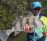 Click image for larger version.&nbsp;

Name:	April2018ParkerDrum.jpg&nbsp;
Views:	255&nbsp;
Size:	202.5 KB&nbsp;
ID:	16691