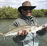 Click image for larger version.&nbsp;

Name:	April2018DrLeonardSnook.jpg&nbsp;
Views:	259&nbsp;
Size:	159.4 KB&nbsp;
ID:	16693