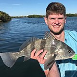 Click image for larger version.&nbsp;

Name:	April2018CameronDrum.jpg&nbsp;
Views:	253&nbsp;
Size:	137.2 KB&nbsp;
ID:	16694