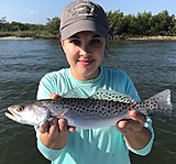 Click image for larger version.&nbsp;

Name:	May2018KacieTrout.jpg&nbsp;
Views:	219&nbsp;
Size:	128.6 KB&nbsp;
ID:	16827