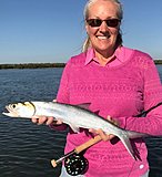 Click image for larger version.&nbsp;

Name:	May2018KristinFlyLady.jpg&nbsp;
Views:	227&nbsp;
Size:	103.0 KB&nbsp;
ID:	16828