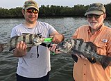 Click image for larger version.&nbsp;

Name:	June2018AndyDavidDrum.jpg&nbsp;
Views:	258&nbsp;
Size:	78.8 KB&nbsp;
ID:	17073