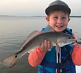 Click image for larger version.&nbsp;

Name:	June2018BrooksRedfish.jpg&nbsp;
Views:	234&nbsp;
Size:	54.1 KB&nbsp;
ID:	17075