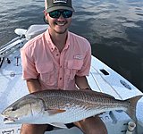 Click image for larger version.&nbsp;

Name:	July2018Samuel38Redfish.jpg&nbsp;
Views:	275&nbsp;
Size:	136.2 KB&nbsp;
ID:	17247
