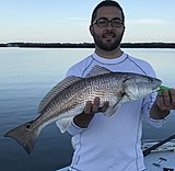 Click image for larger version.&nbsp;

Name:	July2018MattRedfish.jpg&nbsp;
Views:	284&nbsp;
Size:	101.4 KB&nbsp;
ID:	17248