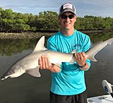 Click image for larger version.&nbsp;

Name:	July2018JoshShark.jpg&nbsp;
Views:	267&nbsp;
Size:	118.8 KB&nbsp;
ID:	17249