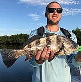 Click image for larger version.&nbsp;

Name:	July2018KyleDrum.jpg&nbsp;
Views:	283&nbsp;
Size:	110.7 KB&nbsp;
ID:	17252