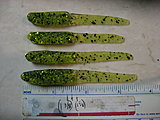 Click image for larger version.&nbsp;

Name:	Spoon Minnow.JPG&nbsp;
Views:	508&nbsp;
Size:	166.6 KB&nbsp;
ID:	17407