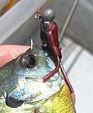 Click image for larger version.&nbsp;

Name:	craw grub mod.jpg&nbsp;
Views:	460&nbsp;
Size:	14.0 KB&nbsp;
ID:	17412