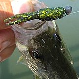 Click image for larger version.&nbsp;

Name:	craw claw.jpg&nbsp;
Views:	466&nbsp;
Size:	26.5 KB&nbsp;
ID:	17415