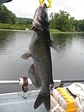 Click image for larger version.&nbsp;

Name:	IMG_0032.JPG&nbsp;
Views:	465&nbsp;
Size:	87.6 KB&nbsp;
ID:	17417