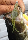 Click image for larger version.&nbsp;

Name:	IMG_0026.JPG&nbsp;
Views:	478&nbsp;
Size:	49.5 KB&nbsp;
ID:	17418