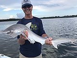 Click image for larger version.&nbsp;

Name:	August2018MikeShark.jpg&nbsp;
Views:	245&nbsp;
Size:	85.9 KB&nbsp;
ID:	17428
