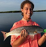Click image for larger version.&nbsp;

Name:	August2018MalloryRedfish.jpg&nbsp;
Views:	244&nbsp;
Size:	114.5 KB&nbsp;
ID:	17430