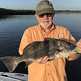 Click image for larger version.&nbsp;

Name:	August2018DavidDrum.jpg&nbsp;
Views:	244&nbsp;
Size:	85.5 KB&nbsp;
ID:	17432