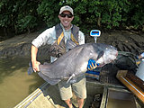 Click image for larger version.&nbsp;

Name:	Ohio River catfish from 2018.jpg&nbsp;
Views:	190&nbsp;
Size:	88.9 KB&nbsp;
ID:	17552
