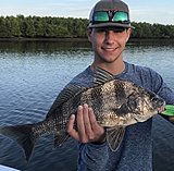 Click image for larger version.&nbsp;

Name:	October2018TimothyDrum.jpg&nbsp;
Views:	216&nbsp;
Size:	125.0 KB&nbsp;
ID:	17613