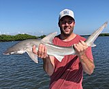 Click image for larger version.&nbsp;

Name:	October2018RileyShark.jpg&nbsp;
Views:	227&nbsp;
Size:	133.9 KB&nbsp;
ID:	17617