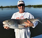 Click image for larger version.&nbsp;

Name:	November2018Brian38Redfish.jpg&nbsp;
Views:	252&nbsp;
Size:	121.0 KB&nbsp;
ID:	17747