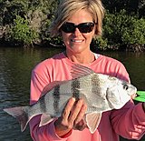 Click image for larger version.&nbsp;

Name:	November2018LeahDrum.jpg&nbsp;
Views:	241&nbsp;
Size:	198.7 KB&nbsp;
ID:	17750