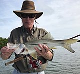 Click image for larger version.&nbsp;

Name:	December2018FredSnook.jpg&nbsp;
Views:	255&nbsp;
Size:	113.5 KB&nbsp;
ID:	17833