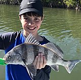 Click image for larger version.&nbsp;

Name:	January2019AdamDrum.jpg&nbsp;
Views:	213&nbsp;
Size:	162.6 KB&nbsp;
ID:	18189