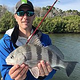Click image for larger version.&nbsp;

Name:	January2019DanDrum.jpg&nbsp;
Views:	231&nbsp;
Size:	202.1 KB&nbsp;
ID:	18191