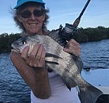 Click image for larger version.&nbsp;

Name:	January2019PattyDrum.jpg&nbsp;
Views:	243&nbsp;
Size:	148.6 KB&nbsp;
ID:	18193