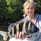 Click image for larger version.&nbsp;

Name:	February2019NickySheepshead.jpg&nbsp;
Views:	190&nbsp;
Size:	161.1 KB&nbsp;
ID:	18291