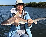 Click image for larger version.&nbsp;

Name:	February2019LizShark.jpg&nbsp;
Views:	178&nbsp;
Size:	130.3 KB&nbsp;
ID:	18292